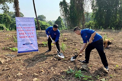 Đoàn thanh niên Điện lực Hải phòng tham gia chương trình Sứ giả môi trường - phát động trồng cây 